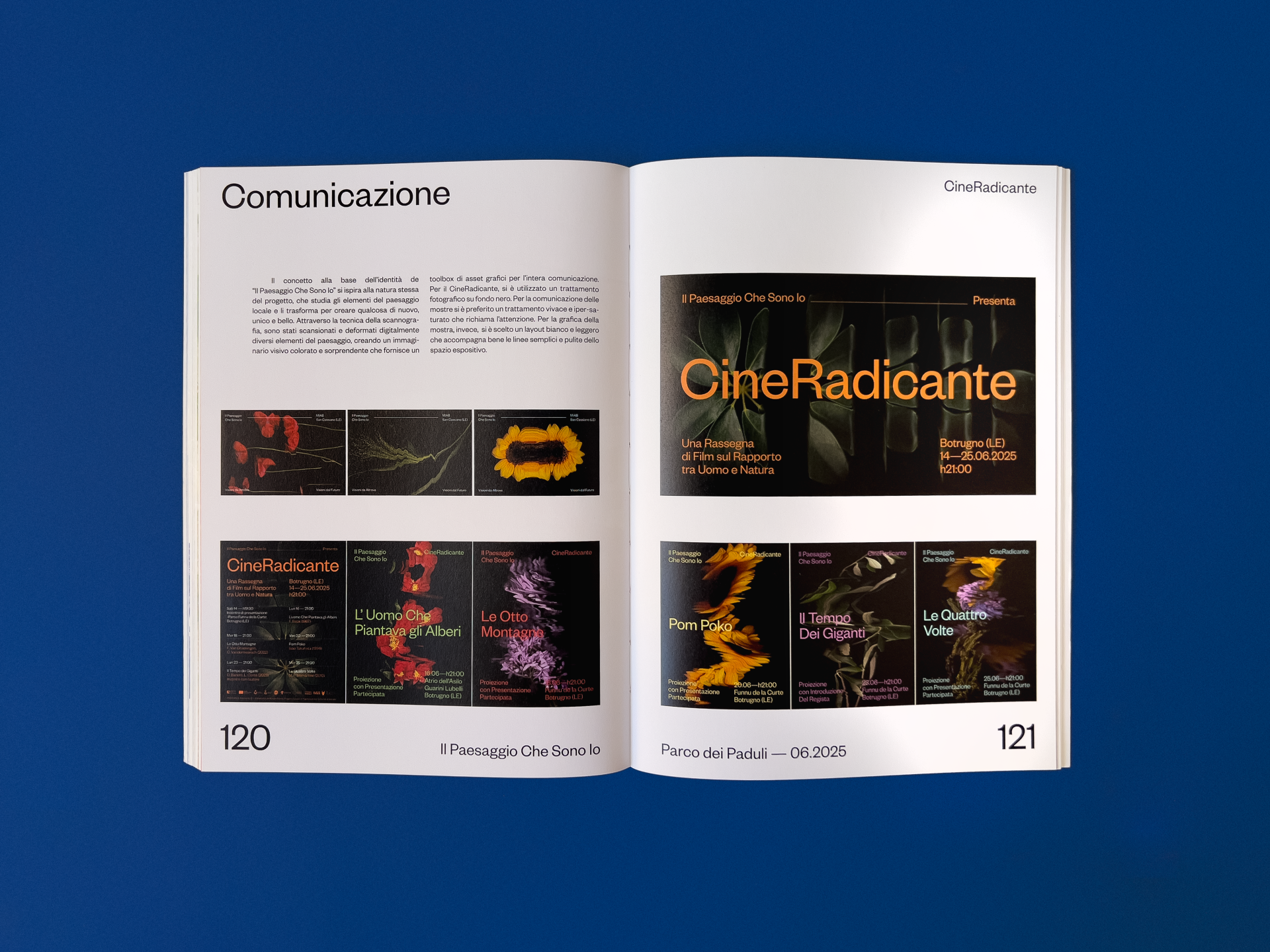 pubblicazione