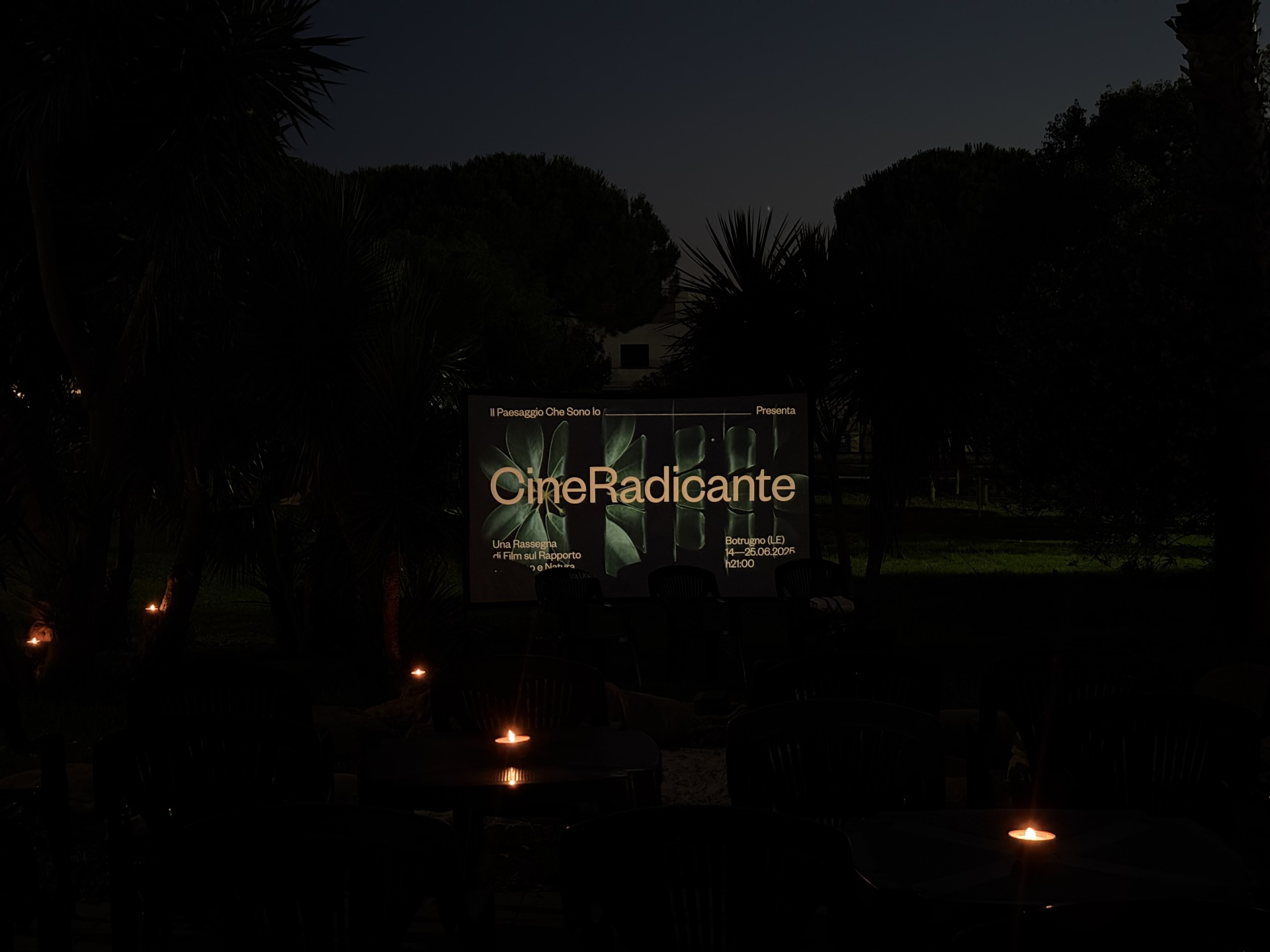 cineradicante