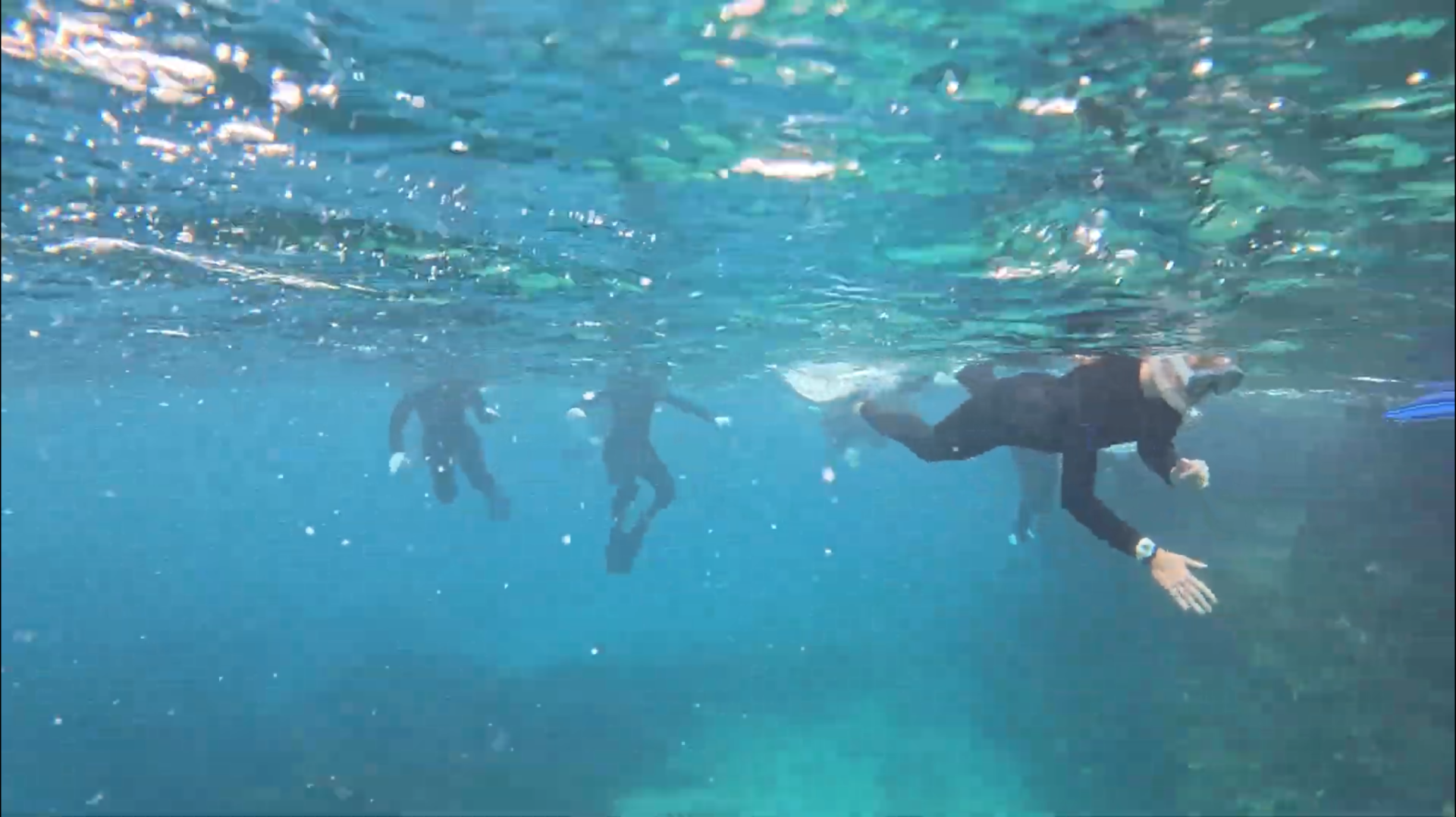 immersion